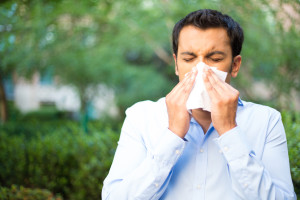 Allergies, Allergy, Sinus, Pollen